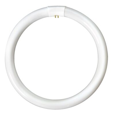 Fluorescent T9 Circular Tube