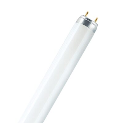 Shatterproof T8 Food Display Fluorescent Tube (18 Inches to 6 Foot) BRANDED | Balcan Lighting Supplies